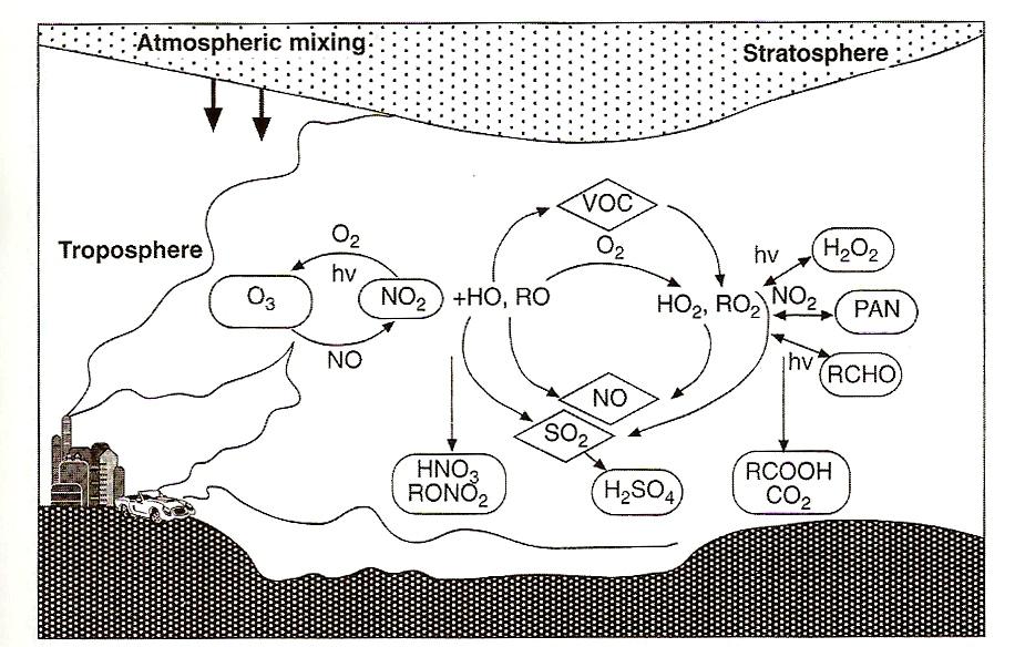 Smidt St. Lexikon waldschädigende Luftverunreinigungen - Tabellenanhang 71 Ozon-Gasphasenchemie (troposphärisch) Gasphasenchemie.