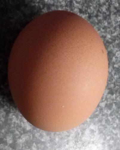 Ist das Ei gekocht oder roh? Ein rohes Ei Ein gekochtes Ei 1. Nimm dir das rohe Ei in die Hand und lege es auf den Tisch. Nun drehe das rohe Ei in eine Richtung. 2.