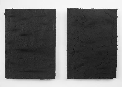 Theo Hofmann charcoal 1.1, 2018 charcoal 1.