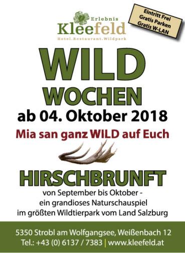 34 Wildwochen Oktober 2018 Gasthof Kleefeld Erleben Sie die Hirschbrunft im Wildgehege Gasthof Kleefeld! Alljährlich beginnt Anfang September ein Naturschauspiel die Hirschbrunft.