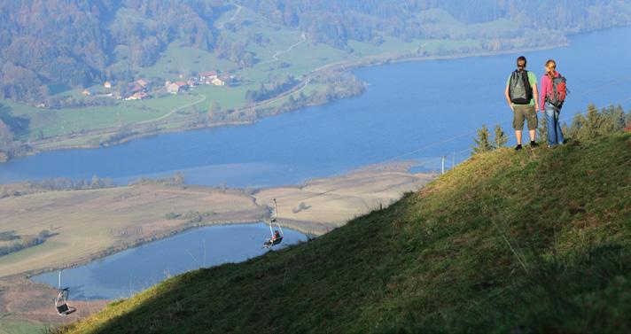 Der Ausblick auf den