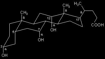 2012) Das Natrium-Glykocholat trägt an der Carboxylgruppe ein amidisch gebundenes, deprotoniertes Glycin. Am Natrium-Glykochenodesoxycholat fehlt zudem die Hydroxylgruppe an C12.