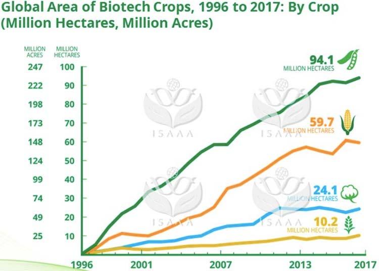 4 Industrielle Rohstoffpflanzen Sojabohnen Mais Baumwolle Raps ISAAA non-verified industry data Verbleibende 1% der weltweit angebauten GM Pflanzen