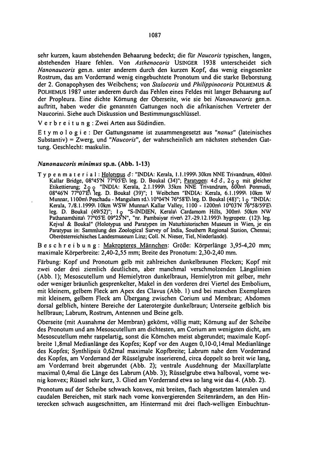 1087 sehr kurzen, kaum abstehenden Behaarung bedeckt; die für Naucoris typischen, langen, abstehenden Haare fehlen. Von Asthenocoris USINGER 1938 unterscheidet sich Nanonaucoris gen.n. unter anderem durch den kurzen Kopf, das wenig eingesenkte Rostrum, das am Vorderrand wenig eingebuchtete Pronotum und die starke Beborstung der 2.