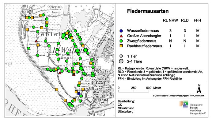 Abbildung 5: Verbreitung jagender Fledermäuse im südlichen Binnenland des FFH-Gebietes Walsumer Rheinaue bei Kartierdurchgängen im April/Mai 2009. im Jahresbericht 2008 (Keil et al.