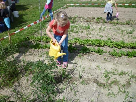 Der erste Sommer 2015 war bei uns sehr trocken. Sehr zur Freude der Kinder haben wir deshalb viel Zeit damit verbracht die Pflanzen zu gießen.