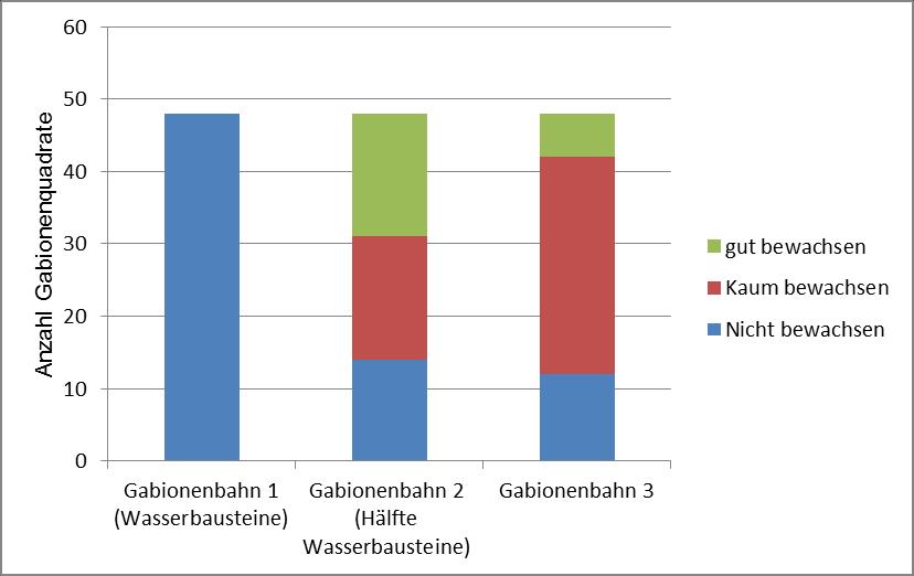 Bild 18 zeigt die Bilanzierung des Bewuchsausfalls von Pflanzzone 1. Auch hier ist zu erkennen, dass die nicht bis kaum bewachsenen Gabionenquadrate deutlich überwiegen.