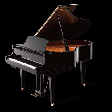 HYBRID PIANOS AnyTimeX2 AnyTimeX2 instruments incorporate an acoustic muting feature with powerful digital audio components, allowing pianists to continue enjoying the distinctive feeling of a