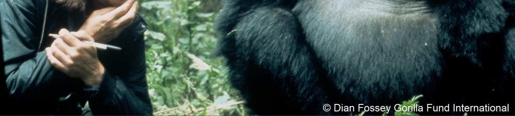 Im Kampf gegen die Wilderer nutzte sie auch umstrittene Mittel. Am Morgen des 27. Dezember 1985 wurde Dian Fossey ermordet in ihrer Hütte in der Karisoke- Forschungsstation aufgefunden.