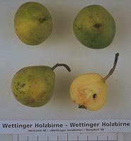 Schweizerhose 10489 Gestreifter Typ der Langen Grünen Herbstbirne. Frucht mittelgross, grün, rötliche Längsstreifen. Färbung erinnert an Schweizergardistenhosen: Name!