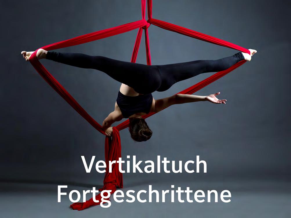 Die Grundelemente am faszinierenden Gerät Vertikaltuch und erste Figuren können Sie bereits sicher turnen.