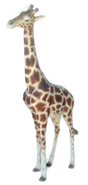 11 Figuren Giraffen Halbplastische