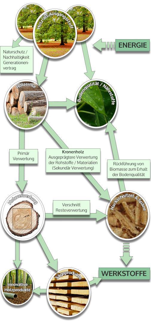 Nutzung von Non-Food -Biomasse: Innovative Beispiele Im BioEconomy