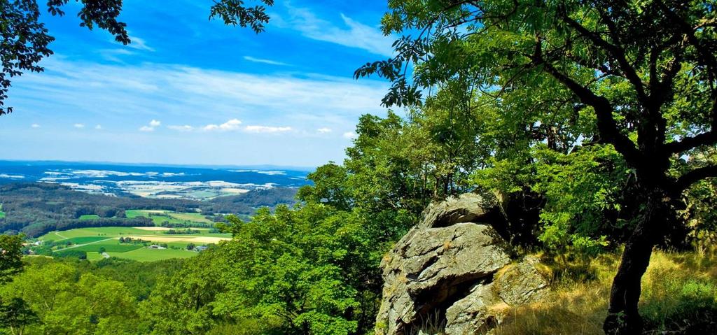 Rhön Die Weisheit der Wälder Tim Amann - stock.adobe.com Warum wir Bäume und Büsche brauchen, um wahrhaft Mensch zu sein.