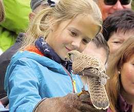 Hornberg Donnerstag, 17. Mai 2018 Neues aus der Tourist-Info Öffnungszeiten der Tourist-Information Hornberg 01. April 31.