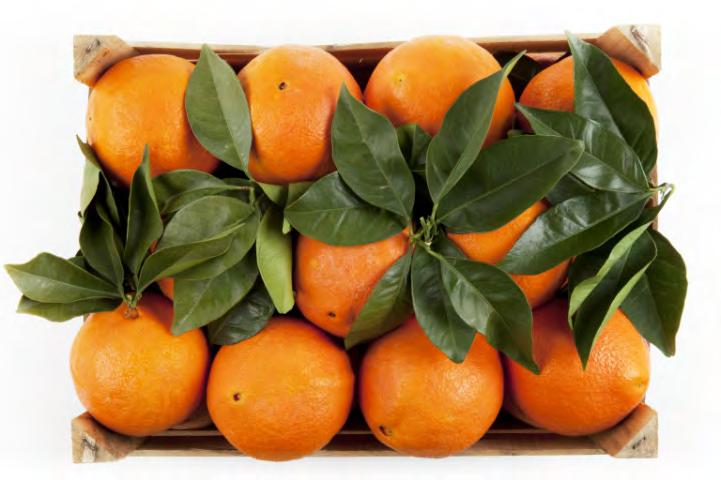 Winterzeit gegessen. Orangen haben wenig Kalorien und eignen sich super für einen Snack zwischendurch.