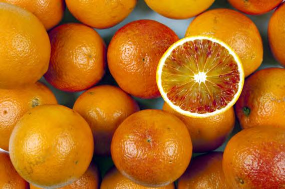 Marktinfos Orangen Tarocco & Moro Die Blutorangen sind ab Anfang Dezember erhältlich.