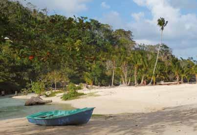 Naturschutz & Lebendige Landschaften 26 27 Zu den wirklich spektakulären Nationalparks gehört unter anderem Los Haïtises, den man ebenfalls von der Provinz Samaná aus erkunden kann.