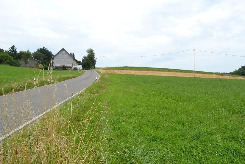 Blick entlang der Kreisstraße