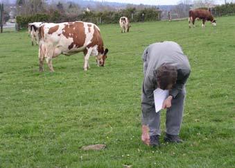 Halbtagsweide bei einem Bedarf von 12 kg TM/Kuh/Tag eine Besatzdichte von 6,25 Kühe und für die Kurztagsweide bei einem Bedarf von 6 kg TM/Kuh/Tag eine Besatzdichte von 12,5 Kühe.
