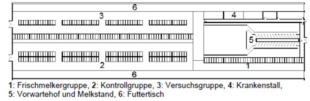 Süden 3 Material und Methoden Versuchsdurchführung Gruppenbildung Homogene Gruppen (Anzahl Lkt., Lkt.