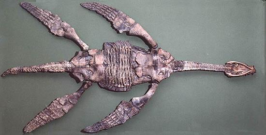 Fossil eines Plesiosaurus aus dem Schwarzen Jura