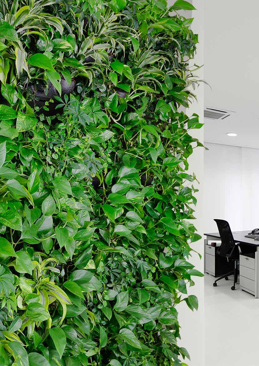 2017-03 Vertical Green - Grüne Wände Das grüne Highlight für die Räumlichkeiten Ihrer Kunden.