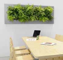livepicture LivePicture ist eine dekorative, platzsparende Lösung zur Integration von Pflanzen (auch in Hydrokultur) in jedes Interieur.