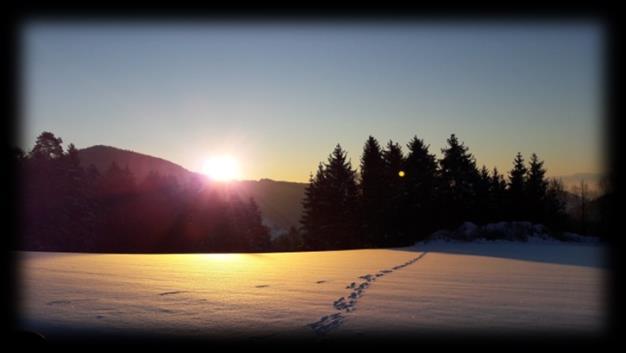 1. Klimanormalwerte Alpenblick 55 m (in Bezug auf 11 Jahre Aufzeichnungen am Alpenblick) Temperatur Jänner -1,19 C Februar +, C