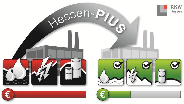 Hessen-PIUS Beratung mit PIUS-Gesamtsicht auf das Unternehmen, oder auch Beratung von
