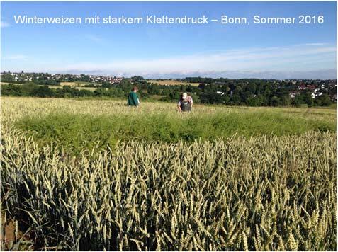 26 Unkrautbekämpfung im Getreide Im Versuchsjahr 2015/16 wurden Versuche zur Bekämpfung von Ungräsern auf verschiedenen Praxisflächen in NRW
