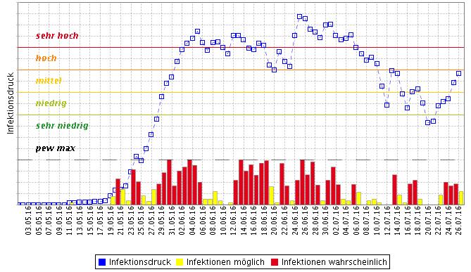 39 Krautfäuleinfektionsdruck Wetterstation Heinsberg Schleiden von Mai bis Juli 2016 (Quelle ISIP, Prognosemodell SIMPHYT) Bei einigen Kartoffelanbauern herrscht immer noch der Irrglaube vor, dass