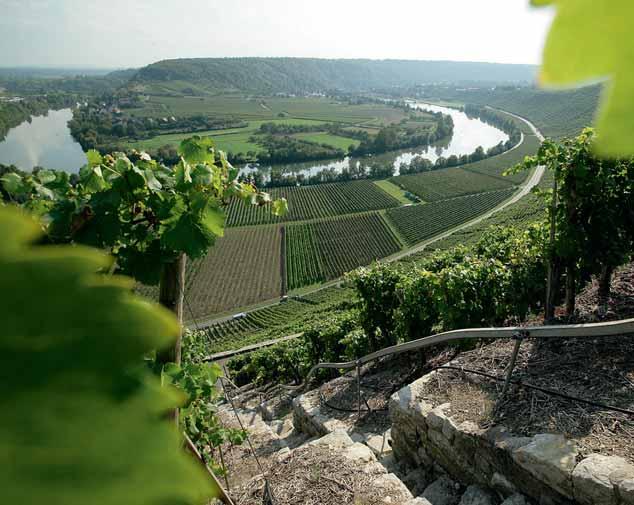 #weinheimatwürttemberg Württembergs steilste Weinlagen In Württemberg liegen einige der steilsten Weinberge Deutschlands.