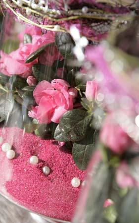 Azaleen blühen in Farben, die auf uns positiv und belebend wirken: Besonders attraktive Exemplare zeigen sich beispielsweise in In attraktiven großen Glaskübeln schmücken pinkfarbene Azaleen den