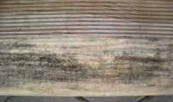 Das Holz quillt und schwindet Holz arbeitet und ist daher nicht formstabil. Diese Eigenschaften sind je nach Holzart unterschiedlich ausgeprägt.