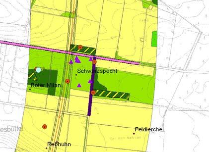 Fledermausflugrouten in Kombination mit Bahnüberführung Amphibiendurchlässe 19 Landschaftspflegerischer Begleitplan Konfliktpunkte Anschlussstelle Helmsheide Bestandssituation