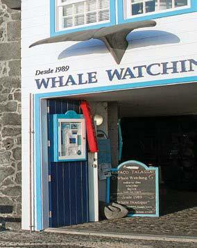 travel/pix02h Die ideale Unterkunft für Ausflüge zum Whale Watching Direkt am Hafen von Lajes do Pico, gleich neben dem Walmuseum und der Espaço Talassa Basis, liegt
