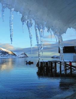 Große Skrei locken im Winter in den hohen Norden Norwegens Ende März zeigt sich der kleine Hafen in Nuvsvåg in seinem schönsten