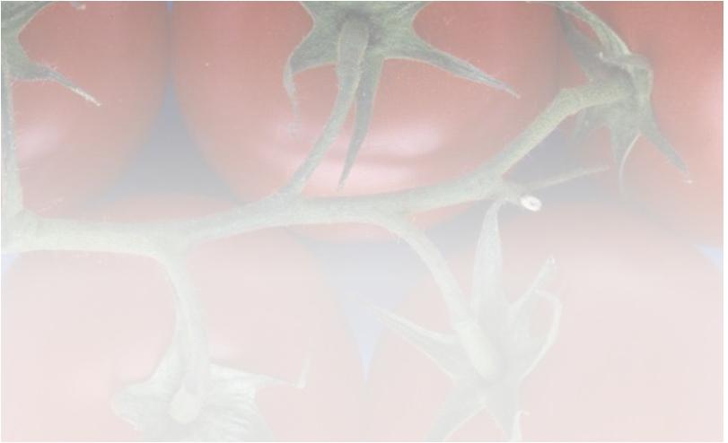 400.000 3.000 399.386 412.513 417.616 387.641 Einfuhr von Tomaten aus den wichtigsten Lieferländern nach Deutschland 2013 1.200.000 Gesamteinfuhren von Tomaten nach Deutschland 300.000 2014 2015 1.