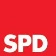 Deutscher Bundestag Aydan Özoguz, MdB