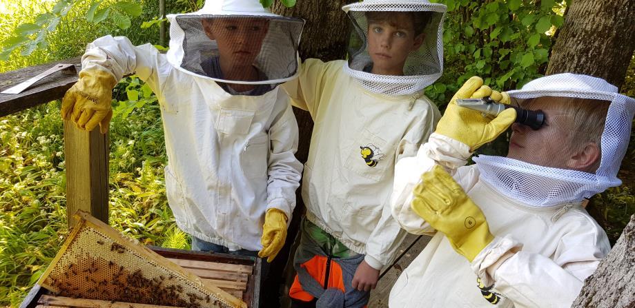 Im Mai: Honigkontrolle, an der Skala des