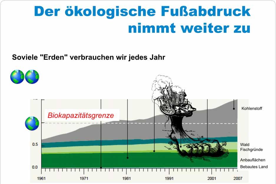 Kohlenstoff Grazing Wald