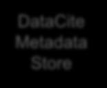 Handle System DOI requests Manual input DOIs/metadata