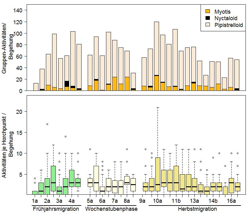 Abbildung 10: Fledermausaktivität je Ruf-Gruppe und Gesamtaktivitäten nach Begehungstermin Mit rd. 85,2 % war die Zwergfledermaus die Art, die am häufigsten erfasst wurde.
