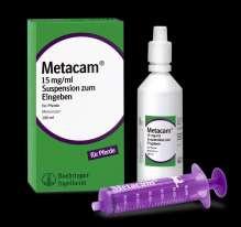 Metacam ) DMSO-Infusionen Lokale