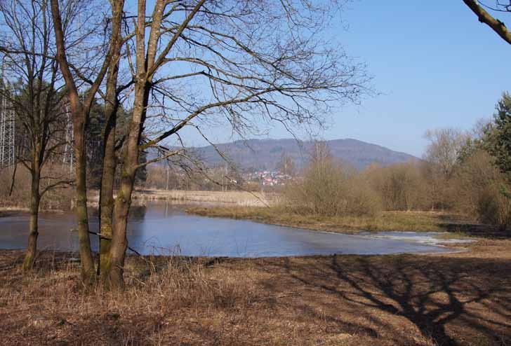 Ende 2009 hatte man bereits Renaturierungs- Maßnahmen durchgeführt. Die Population der Glänzenden Binsenjungfer hatte sich im Jahr 2010 wesentlich verringert.