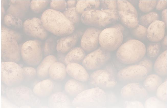 Kommentar: Die Zufuhren von Speisefrühkartoffeln wuchsen sukzessive an. Trotz überwiegend reichlicher Geschäftsabschlüsse vor den Feiertagen konnte sich das Bewertungsniveau nicht immer behaupten.