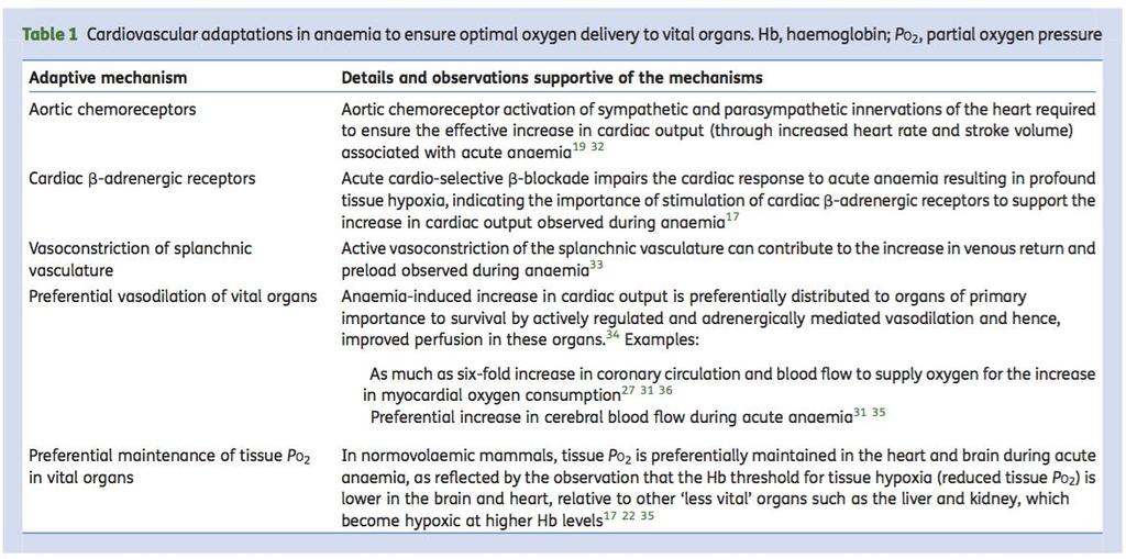 12 Erhöhung des Herzminutenvolumens Steigerung der Erythropoetin Produktion Erhöhte Sauerstoffextraktion