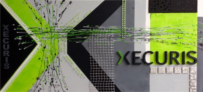 XECURIS IT SYSTEMHAUS 140 x 70 x 3,5 cm Acryl, Styropor,