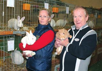 Dass Kaninchenzucht nicht nur Männersache ist, beweist Monika Gütler. Seit acht Jahren ist sie eine erfolgreiche Züchterin.